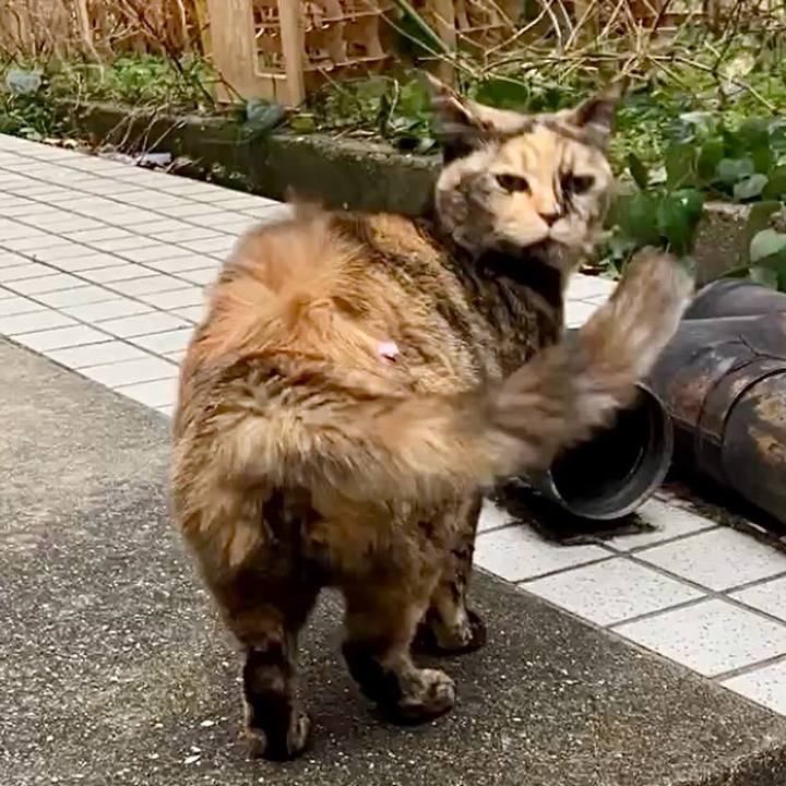 7f9082c7 951a 42c1 849c 0838618a720a 1741831134551