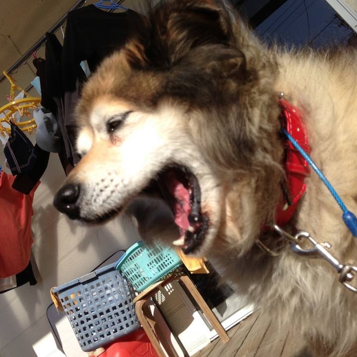 7f90aaa5 8577 460f bd87 45281c0a5d65 1601444079374