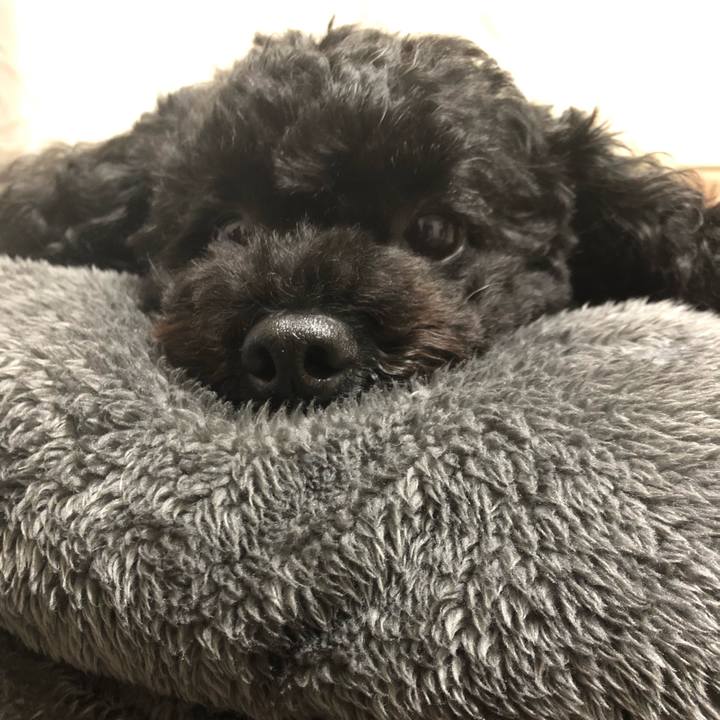 7f90ba4c 929d 4dd8 8064 6538fc4049e1 1559630409301