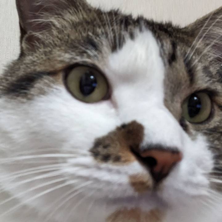 7f913f77 b5af 41a4 a152 7a812e8bce76 1686265233260