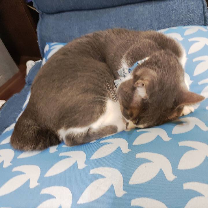 7f9162a5 11bf 46ac 9ac0 0c4835728e90 1700918480250