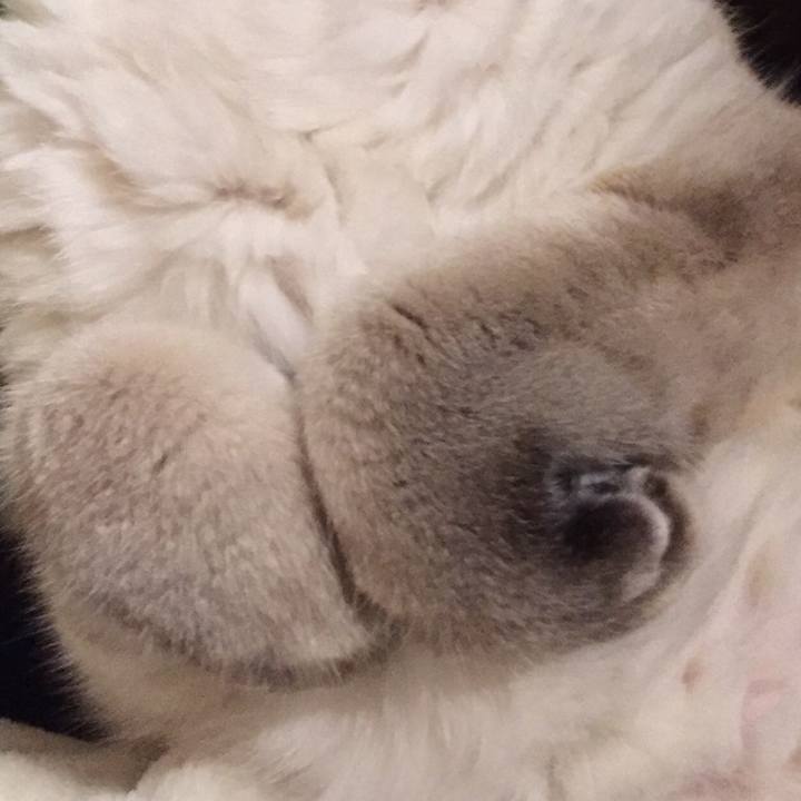 7f917be4 1852 48cb abae d0d25f47179c 1578957149296