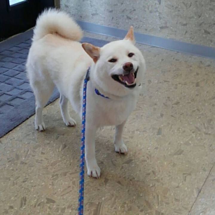 7f9194ed 6c09 4ec7 a4ed 8e07e1f515c7 1531497448013