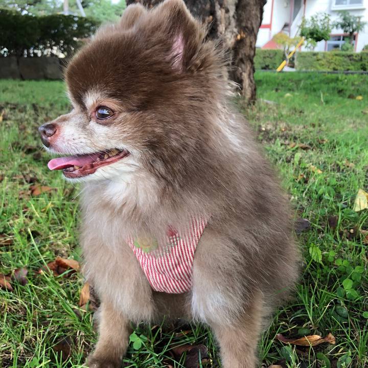 7f919efd 766d 4a2f 8db6 8d13729748f3 1633306759862