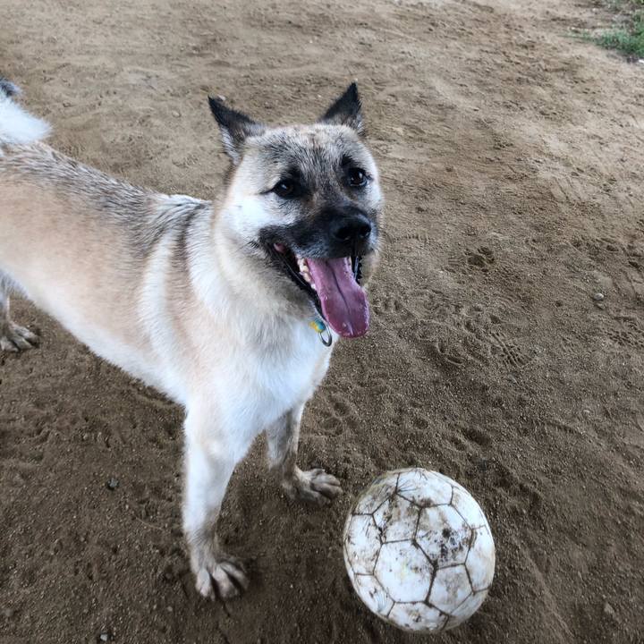 7f91a2f9 9f14 456c b04d c02f39614f8e 1560605009132