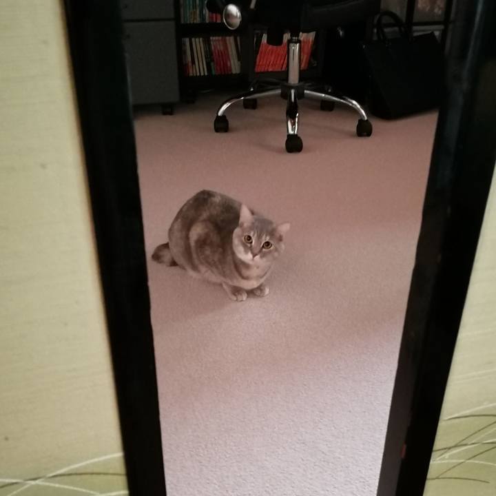 7f91a742 49f8 41a0 8b94 501ab9146a87 1520384949860