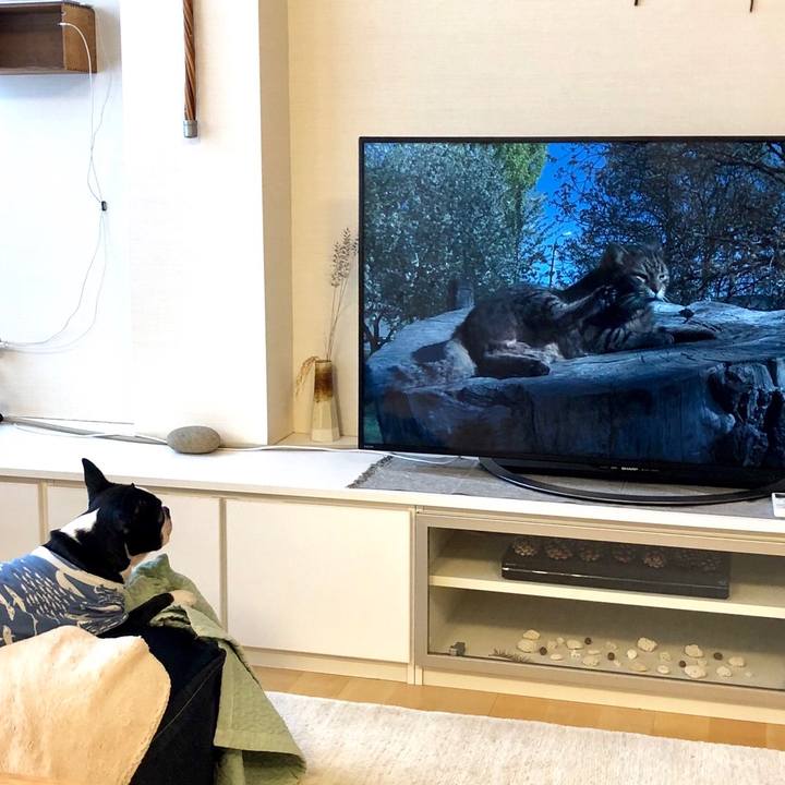 7f91ac49 4832 4ef5 959a 65519328f5f0 1551267280186