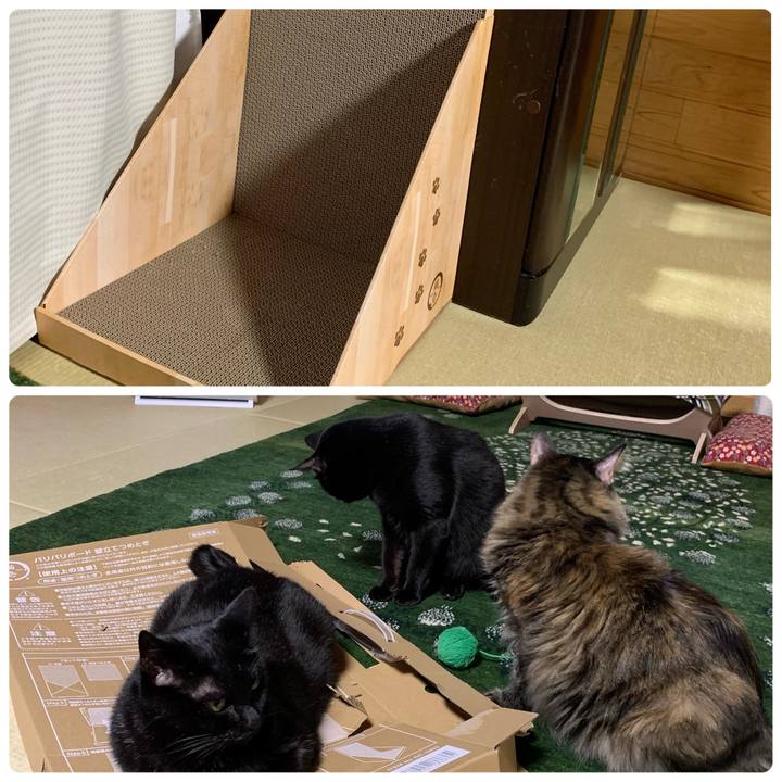 7f91bbbe a87a 4be1 b15e 69b2b80b9d08 1682596459598