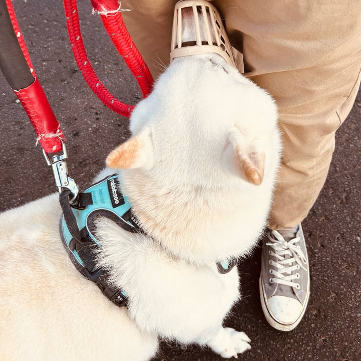 7f91ec23 6a85 4470 a5e8 a6bfa577e87e 1698704038024