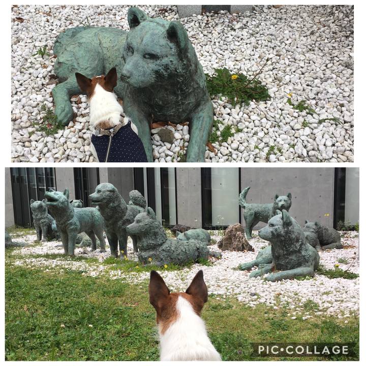 7f91fec1 c674 43af 8078 27f671d285cd 1589426353685