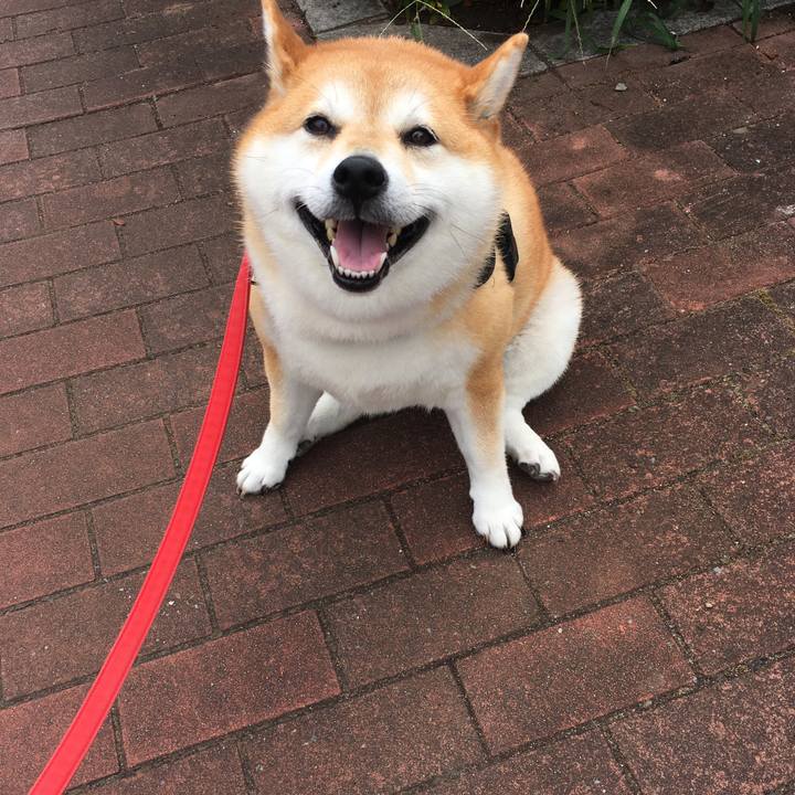 7f9220a1 a63a 474b a24a 98e477753b7b 1598833706388