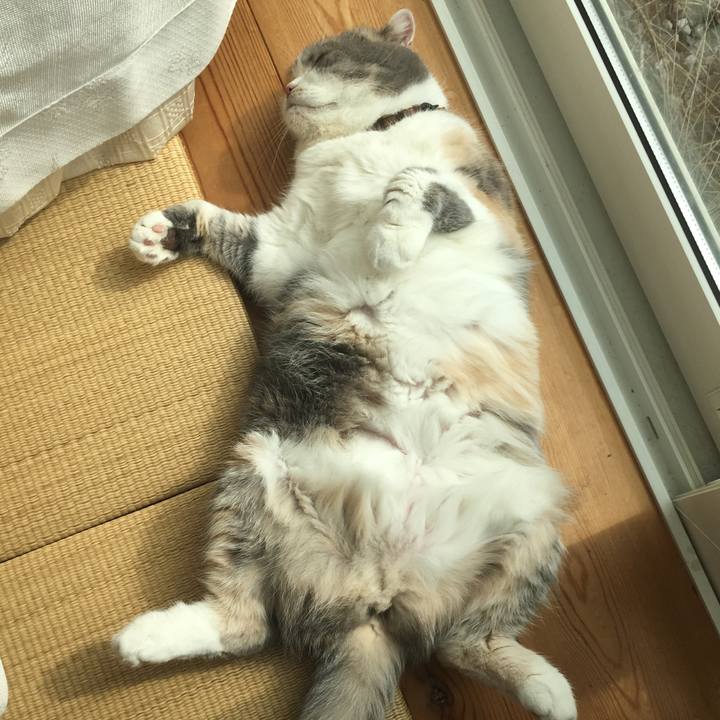 7f926e81 1c7f 41b9 9831 470804ec6e40 1569633231872