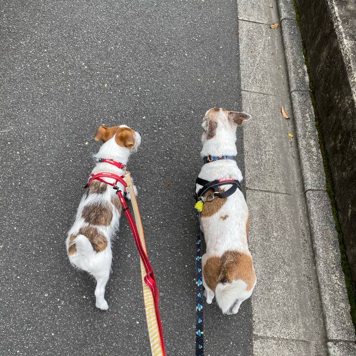 7f92816d f6f1 4ce2 a0a5 ed38054b7fb8 1619920017213