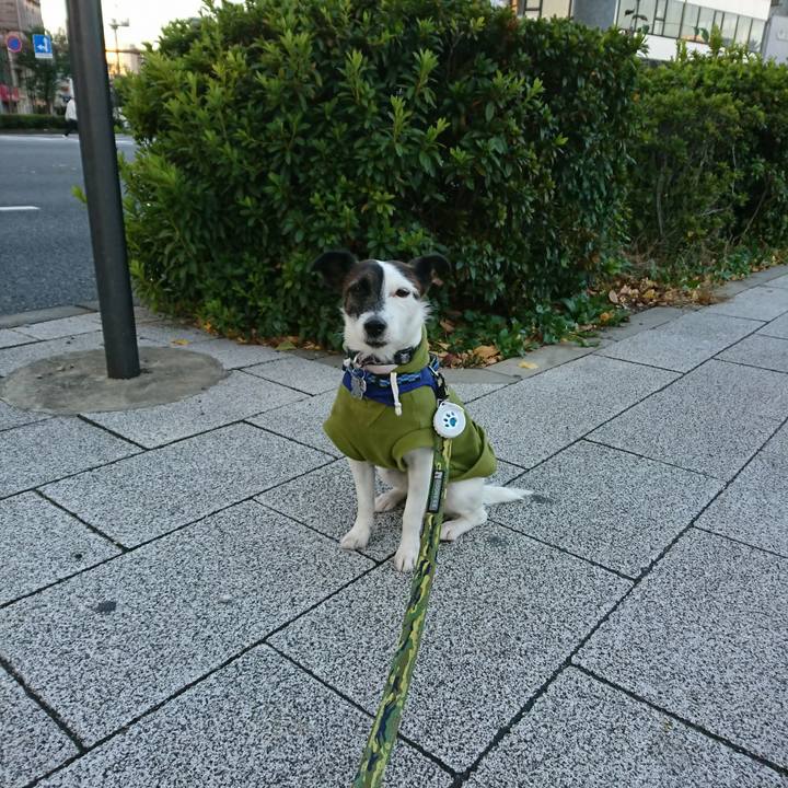 7f929494 164a 45a0 8bb3 51049aef7d95 1511041578939