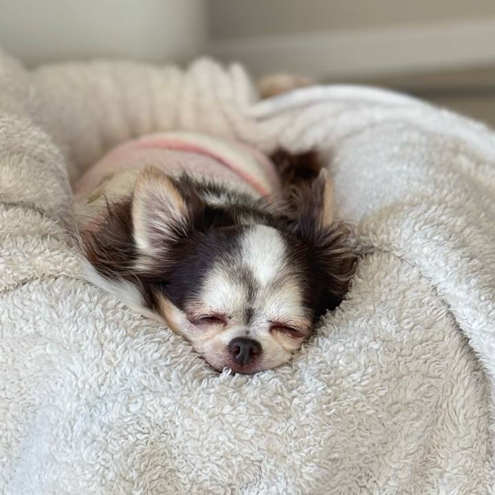 7f92abf0 5ef2 4672 9033 efb85417c45f 1772785323694