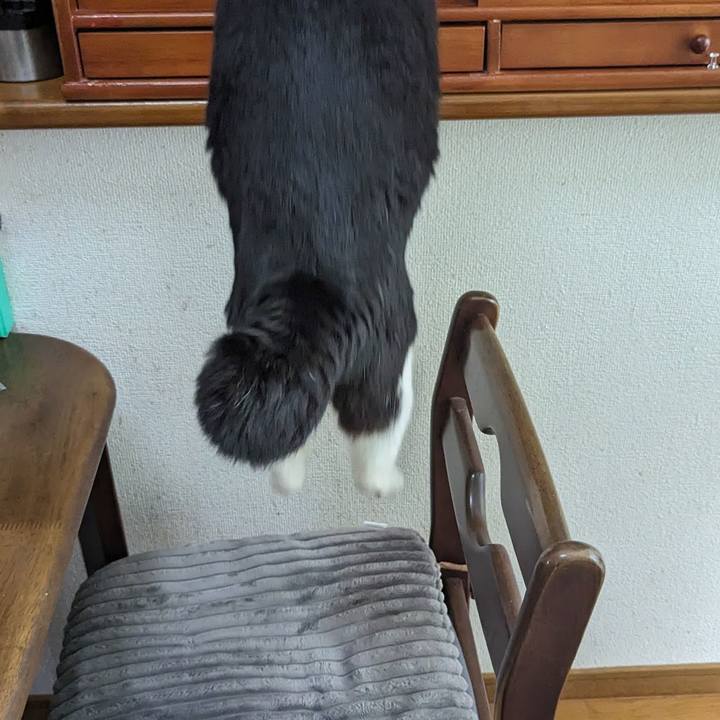 7f92b7b1 0dc3 4888 a920 b09524cb7afd 1709609650225