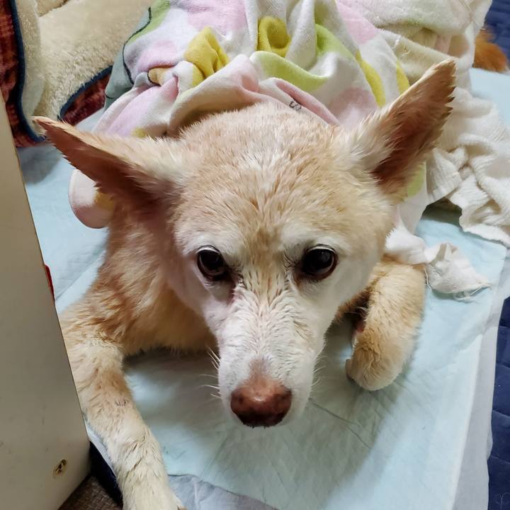 7f92c88c c491 46b7 8983 e9e58ce4ada6 1682054293306