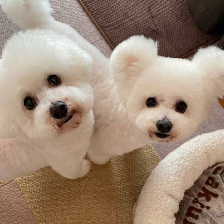 7f92ec7a e09d 46f1 8fa9 c4720fcc3aa2 1705464825359