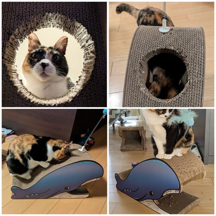 7f93065a 78a5 4a8d 9af1 e0a65bf8a0f1 1704771376697