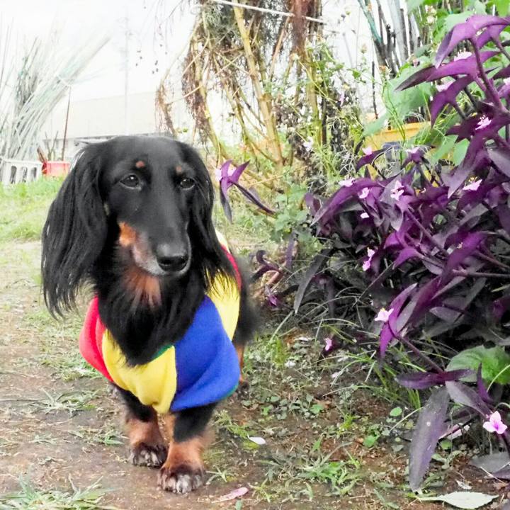 7f93579a c24e 4f28 8fbd 3f0e1ee76e8a 1540530727850