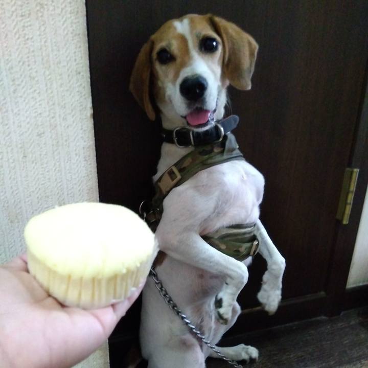 7f9362ea 1da9 41cf a935 16cad64a4109 1693988650563