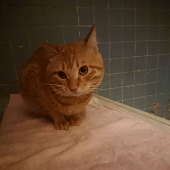 7f93b2a9 e64a 4237 ae18 3b0a5da5cdf1 1645007531237