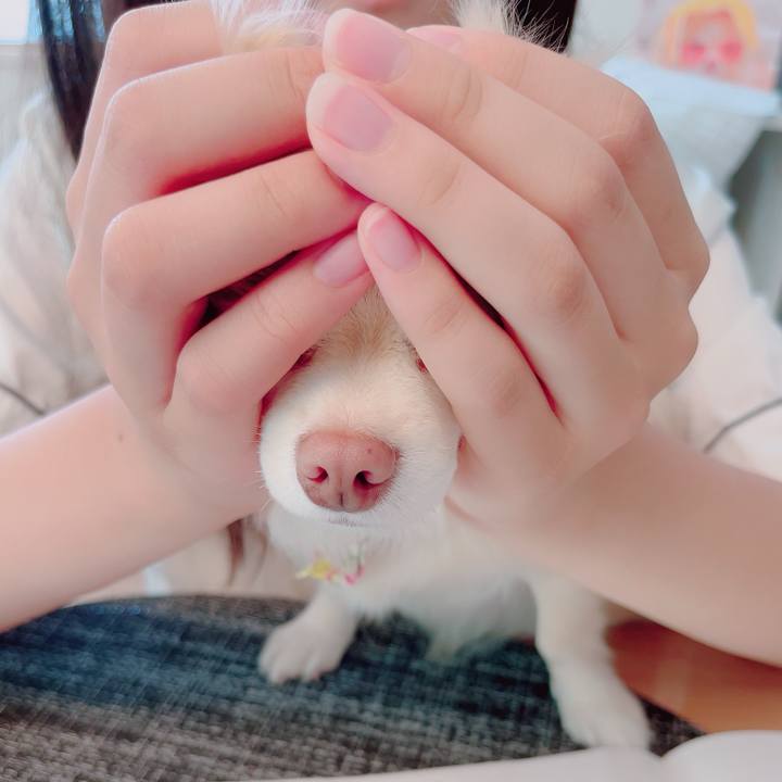 7f940c18 70e7 412c 88cb 7c47a5b26598 1693131236681