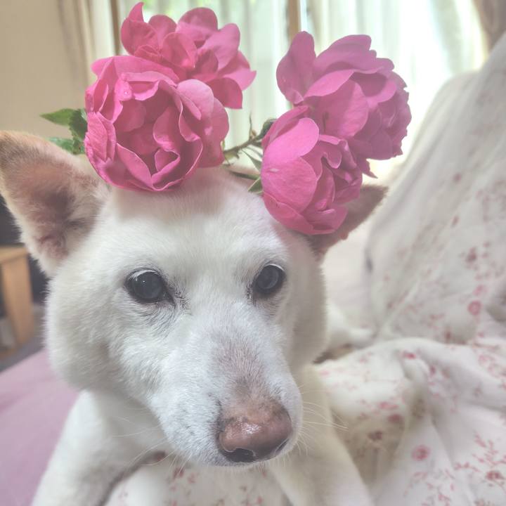 7f942e31 272b 4161 a8b6 1751cd694695 1748832669105