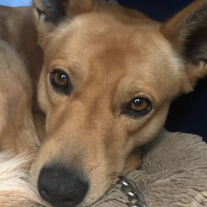 7f9444f9 6aa8 4968 919d 21e58f64080f 1546238406445