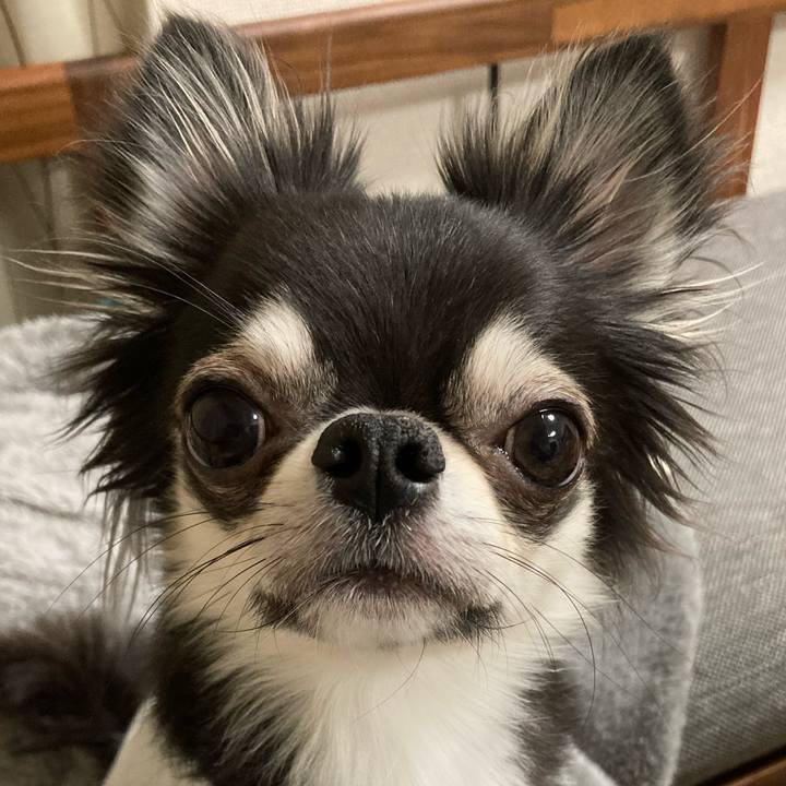 7f94a6d4 7b27 45c0 b86c 9dc4f7dbe326 1639317173336