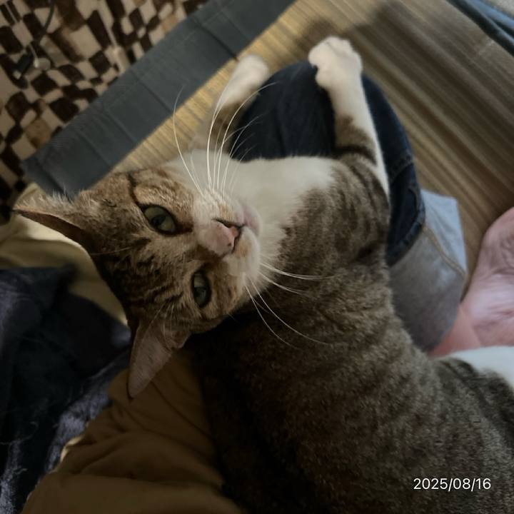 7f94ac3b 9483 44f4 8b62 bd079447d121 1755320160773