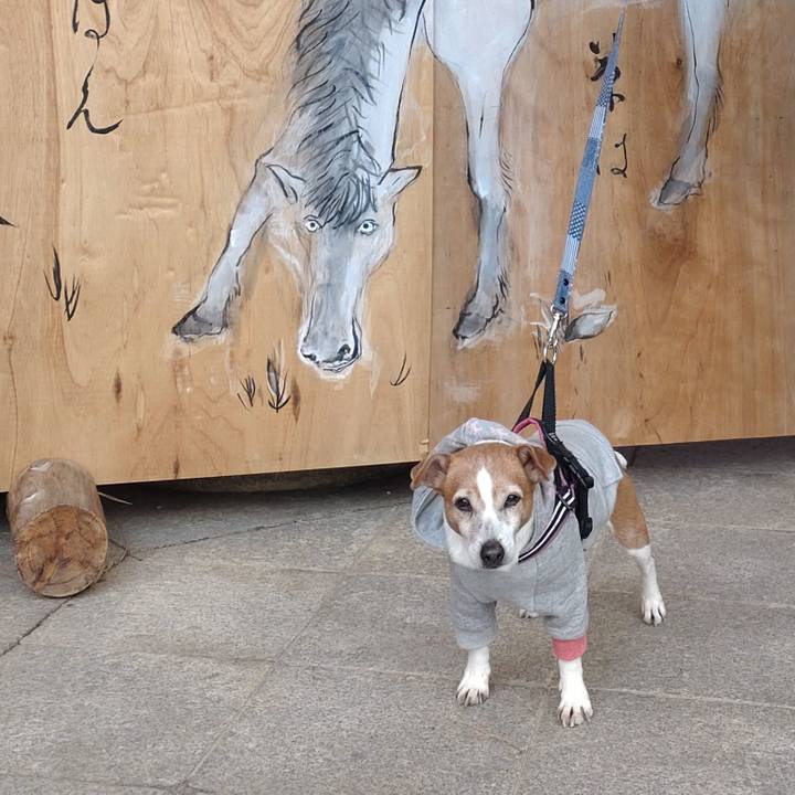 7f94b7b8 8fd7 415c 8b2f 1e6274e456f2 1768137844214