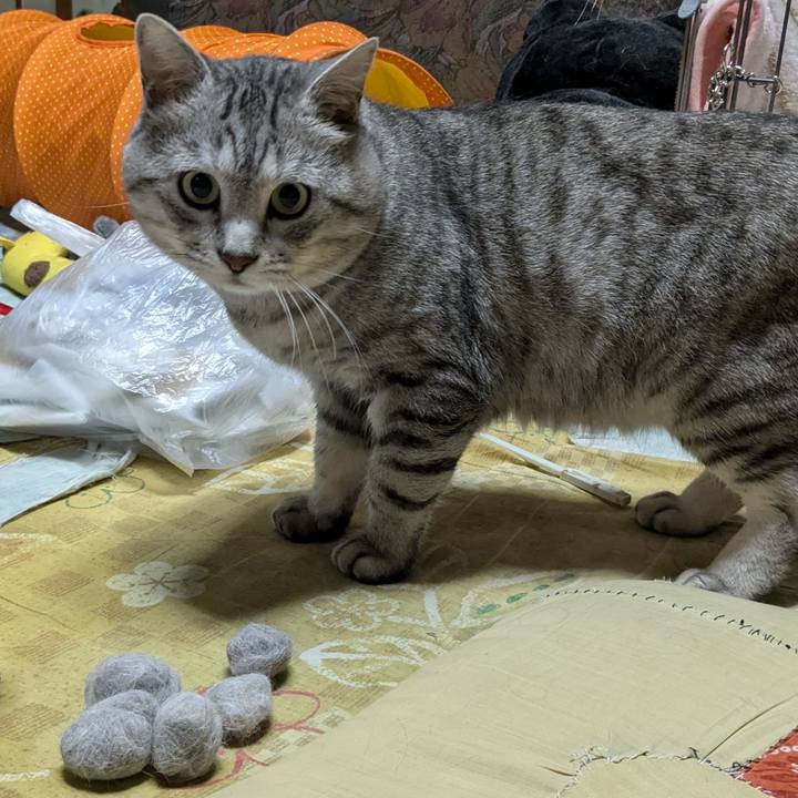 7f94b862 5d3b 409e a1e6 04eb7fa9cb81 1719317668635