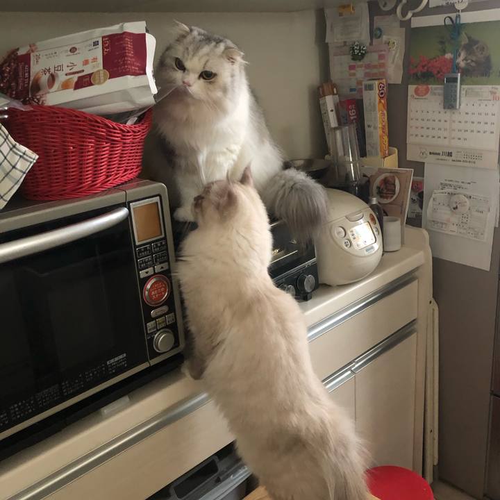 7f94c64f e39b 4114 800e 6b107417a1c1 1693969714647