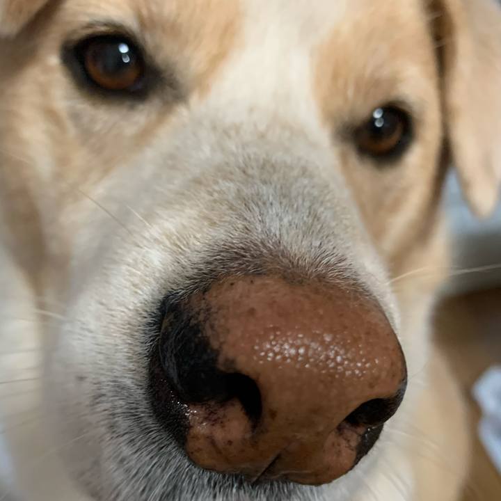 7f94e2c1 8c41 4d0d a5b7 ae388aec54ad 1574389794848