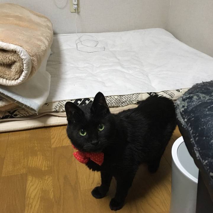 7f94f8f6 3571 42b8 b54c 9bdf727c6520 1551095012071