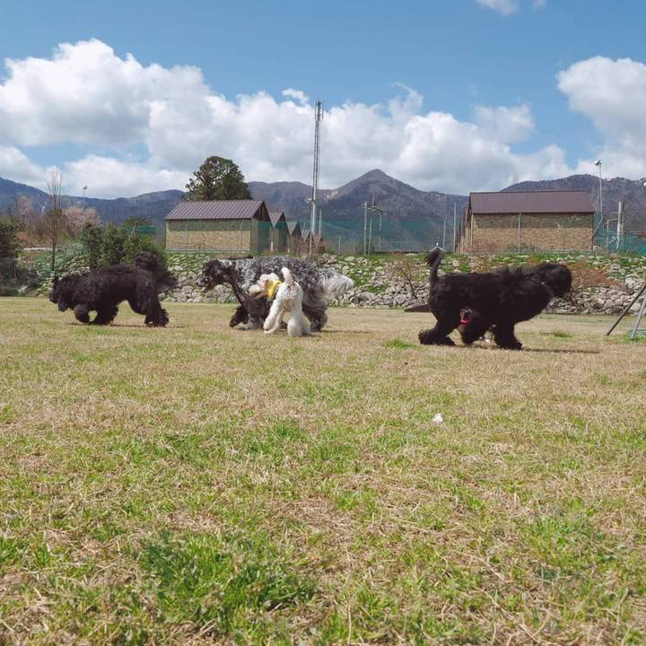 7f954405 08aa 48e8 8ffd be996fa18edc 1554940665550