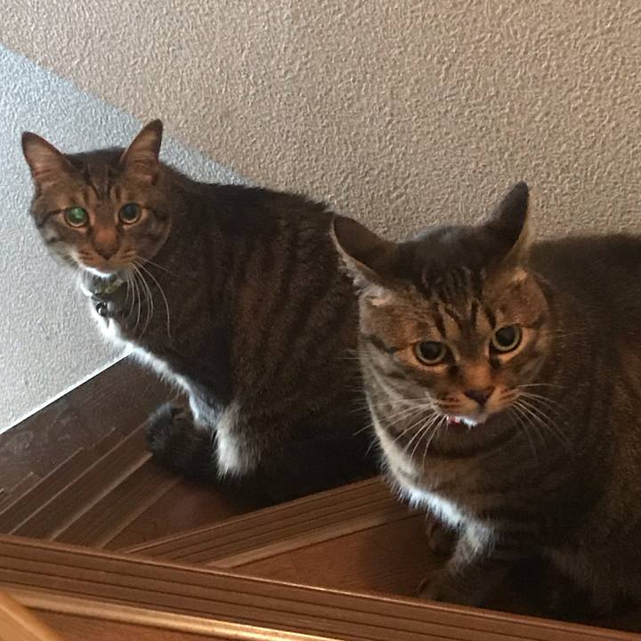 7f95656b 2344 476b 9b8d 5761a2332f1f 1627425804586