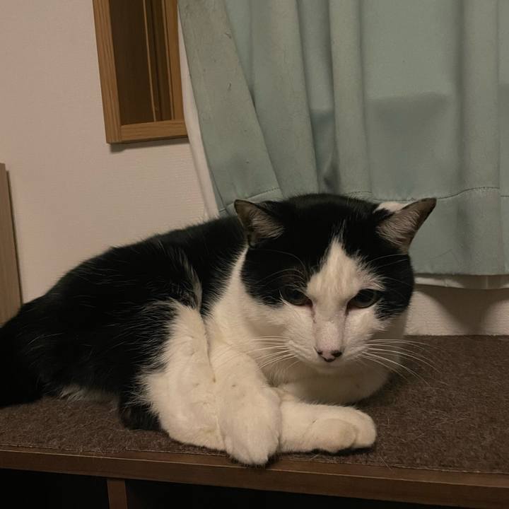 7f957498 0a8a 455f b115 66072539ca92 1676897918066