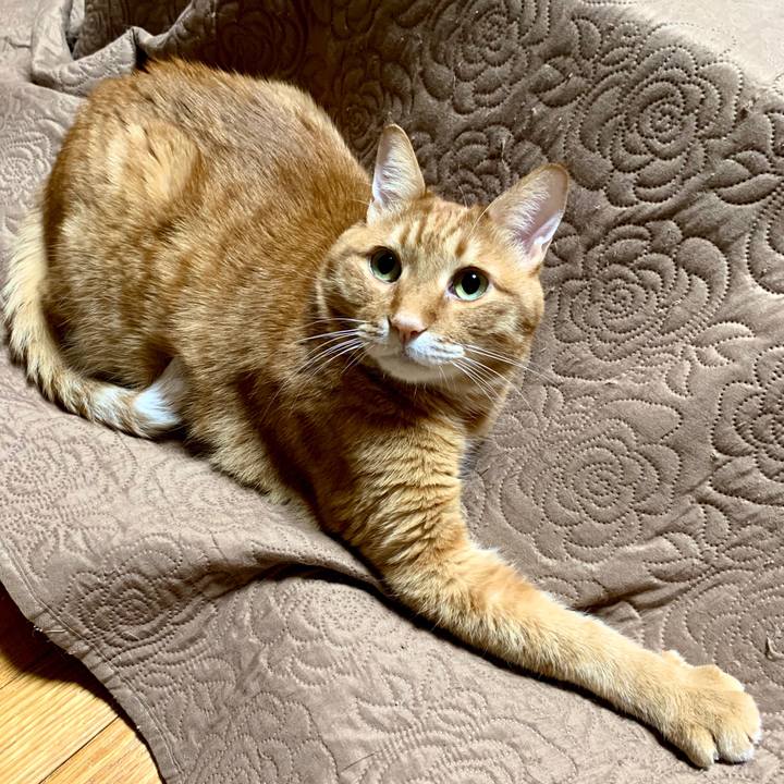 7f957e36 0fb0 4543 b26e 4532465ab523 1580825693062