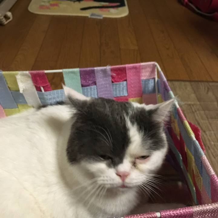 7f95898c 299b 440a 8f77 ae8b96b5c1be 1508319440721