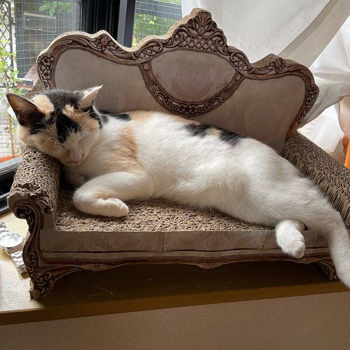 7f95db9b defb 4c8e 9ef7 1d1e87ab1c5c 1718668933745