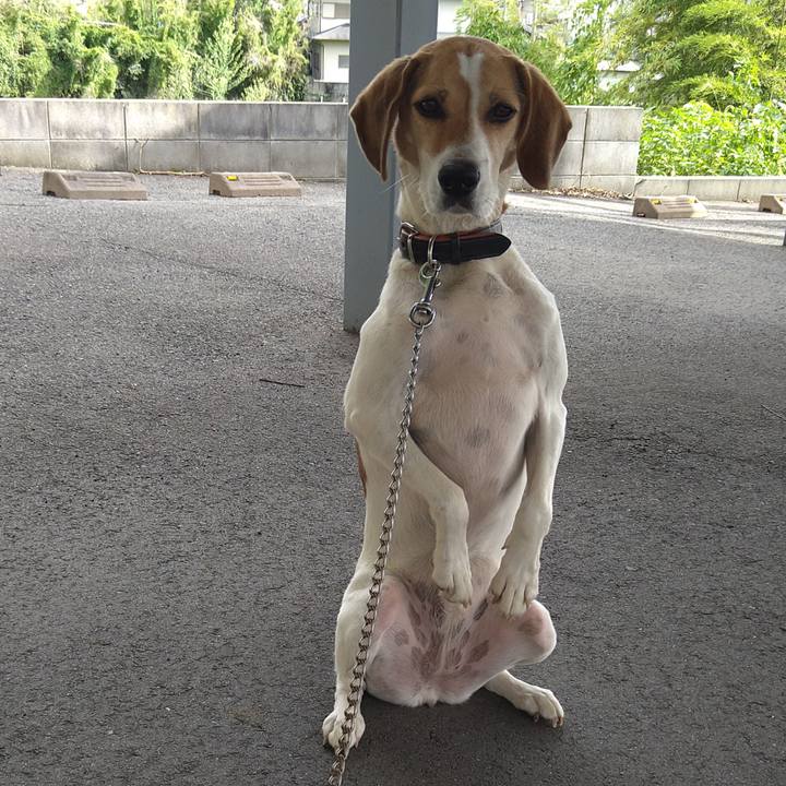 7f95e0aa bb6d 4c95 bb60 0a9a83a761f6 1629621583078