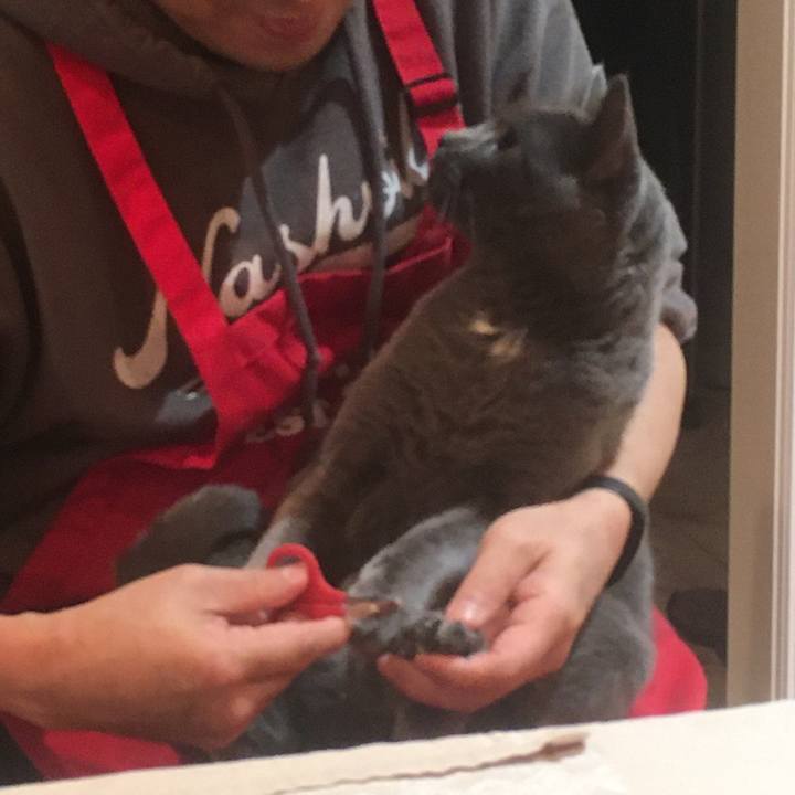 7f95e976 fce4 45fb a25f c0b7d2554574 1645499782617