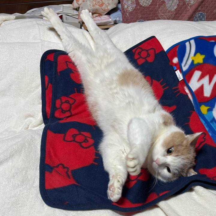 7f961f8a 1185 4f6a a253 5b60ddd08e30 1769916356736