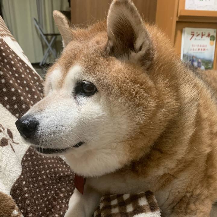 7f962117 21be 494b 983b 32ef0f969841 1608123867681