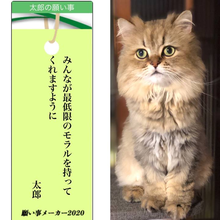 7f962b6c 243f 461d 952a 9d4cfe4b9c22 1594091742032