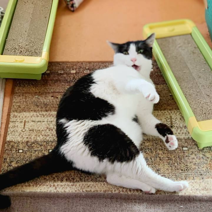 7f96ace1 81df 4b46 a5bb 3fe5fd55d413 1585533424369