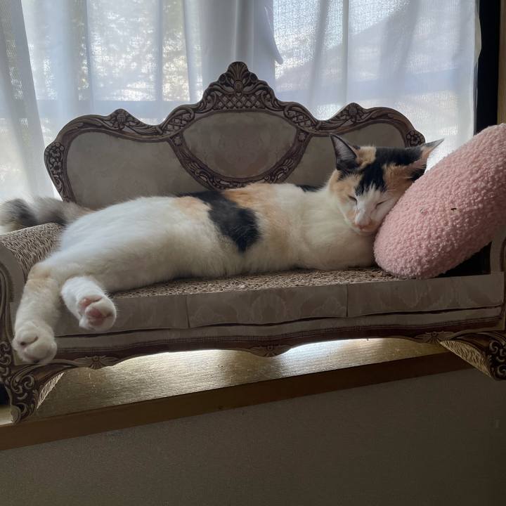 7f96bf09 d02e 49ee abaf 16d61c8dd0db 1688969104914