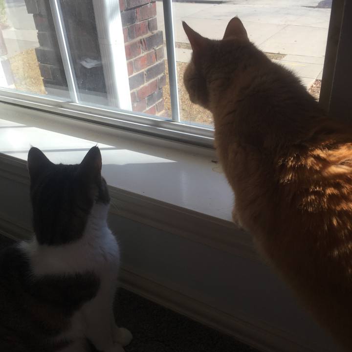 7f96d349 44e3 4584 8bb8 0b5ae5e0dff2 1645502377240